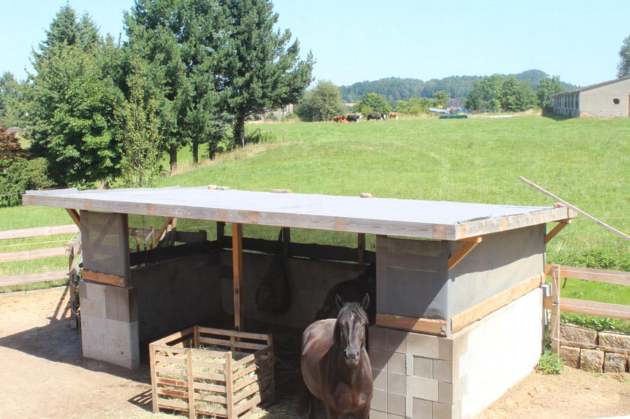 Ferienwohnung Feldblick Struppen Luaran gambar